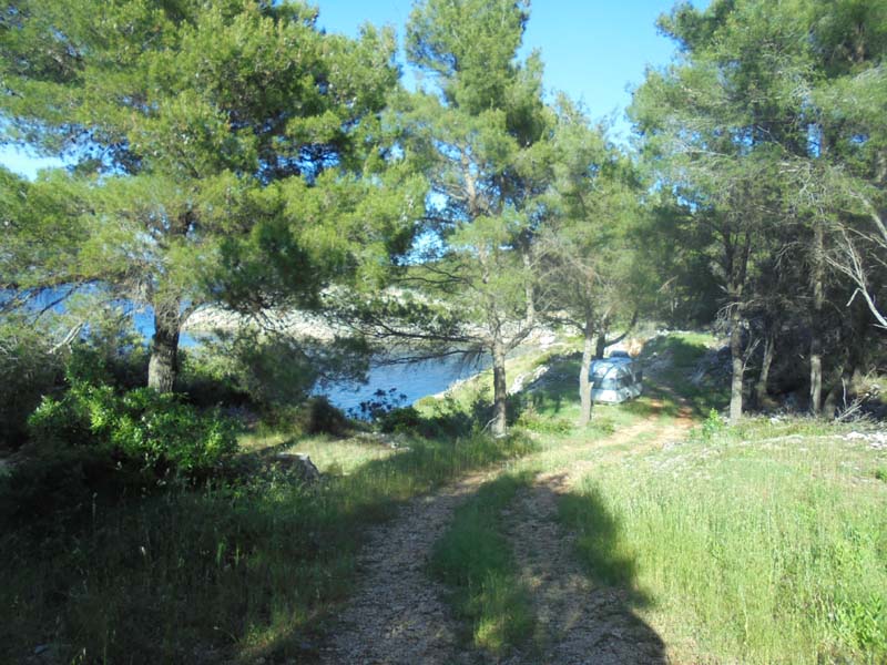 Slika 31