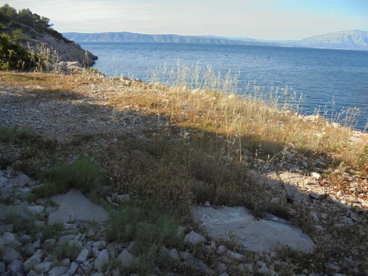 Slika 54