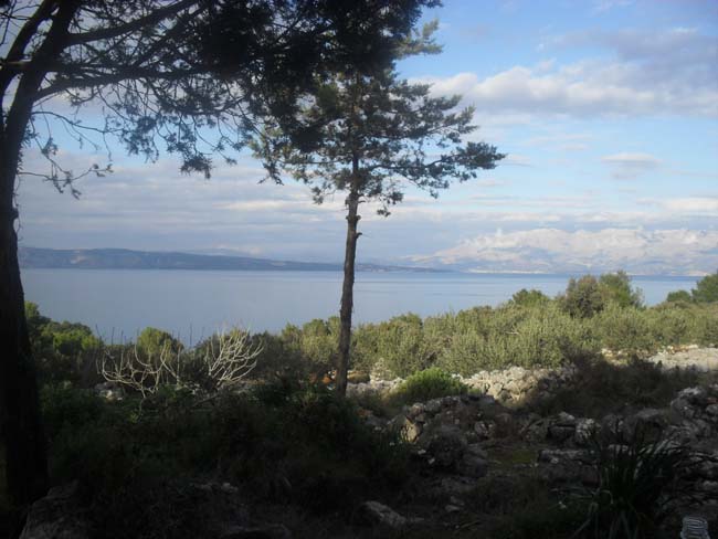 Slika 56