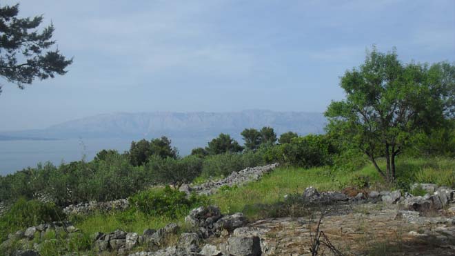 Slika 6