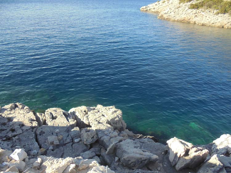 Slika 7